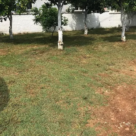Dhurata * كساميل